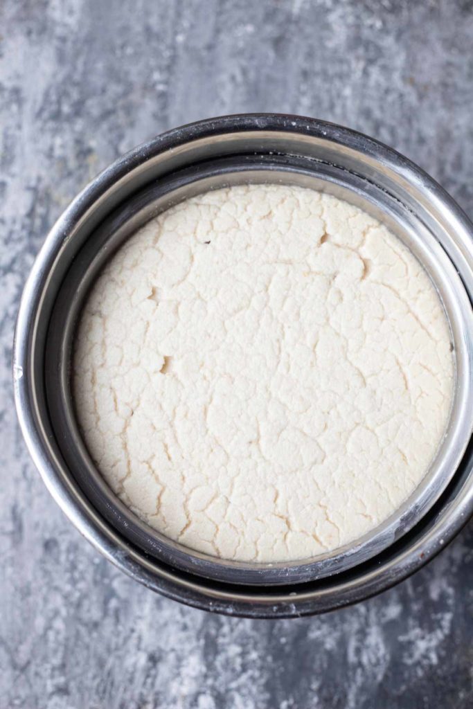 idli batter in instant pot