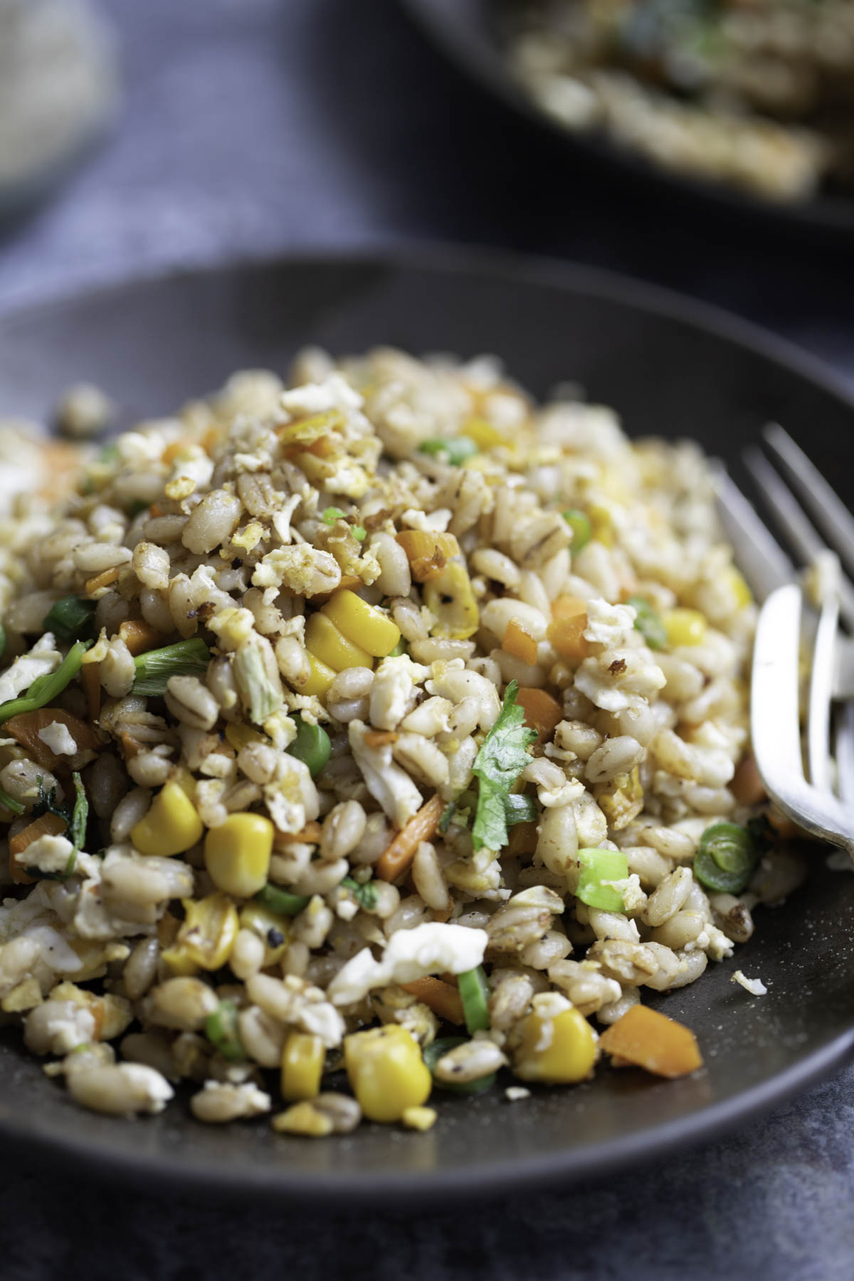 a closeup of egg fried barley on a plate with fork