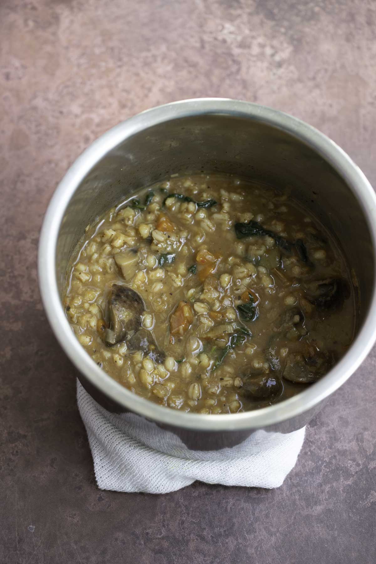 barley vegetable soup in an instant pot inner pot